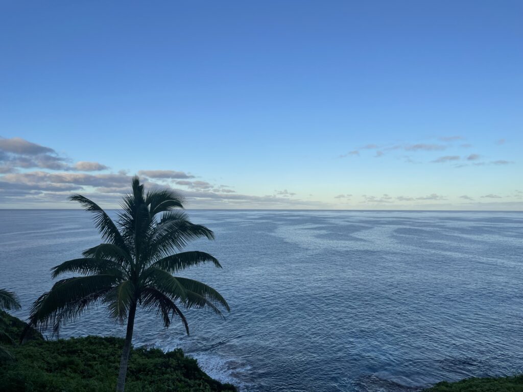 Niue seascape