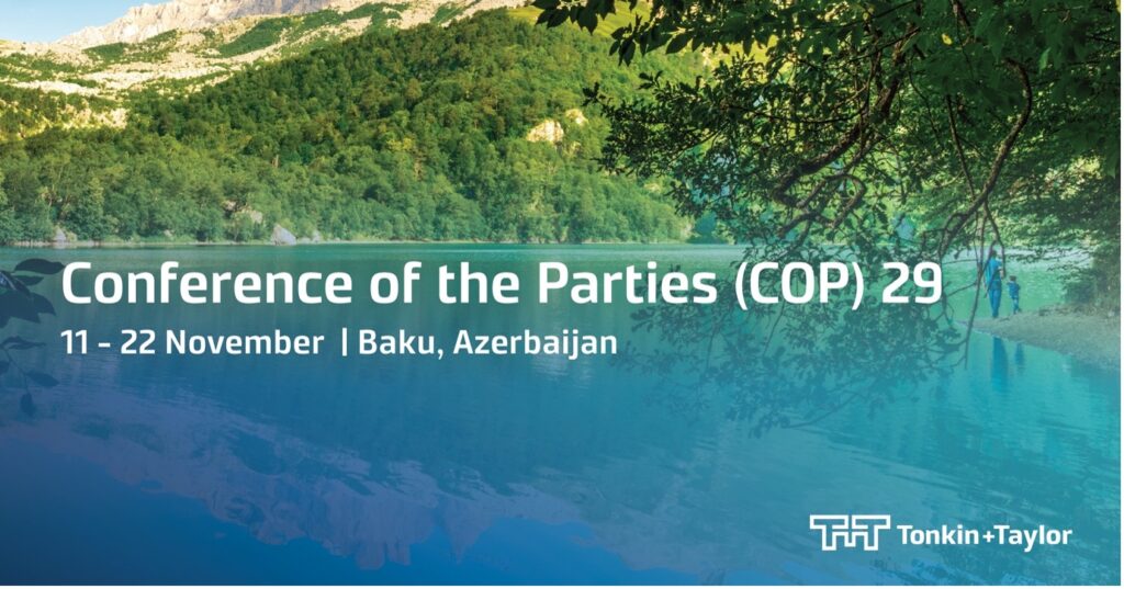 Conference of the Parties (COP) 29 