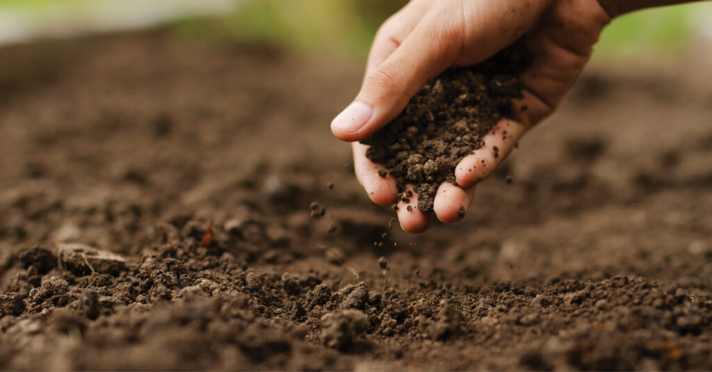 agrifood hand on soil